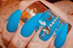 Posh Nail Lounge, Glen Carbon IL 62034;